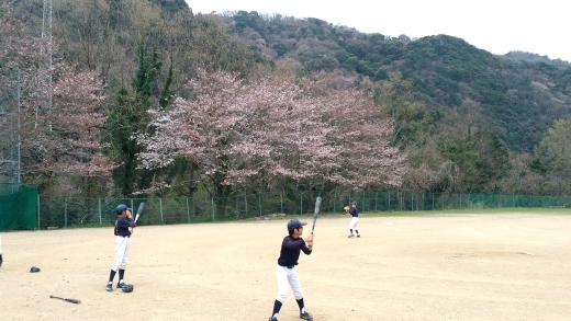 桜を見ながらの練習